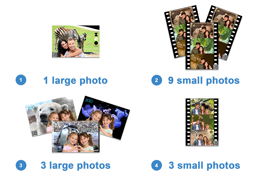 Wyb&oacute;r pakietu